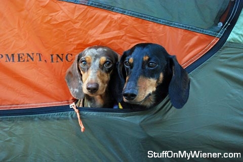 Gretel and Chester in a tent.