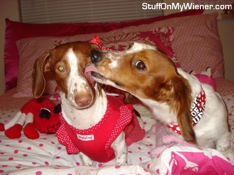 Kody kisses Lily for valentine's day.