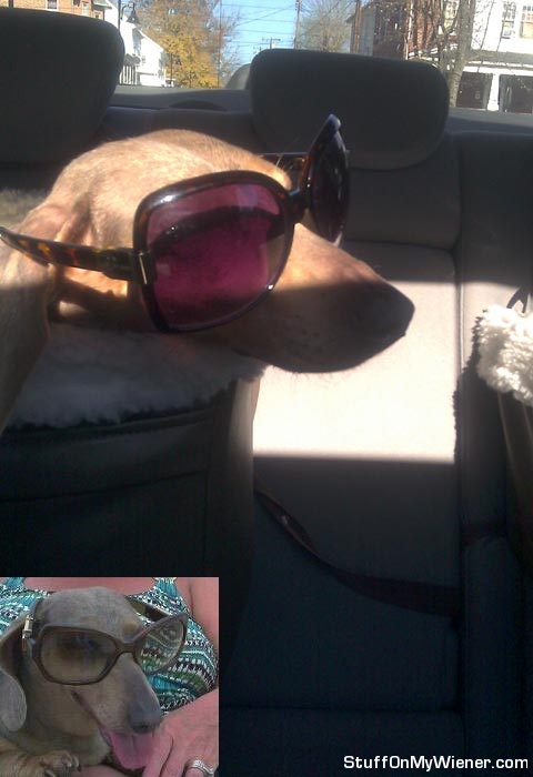 Freckles-glasses Freckles wearing sunglasses.