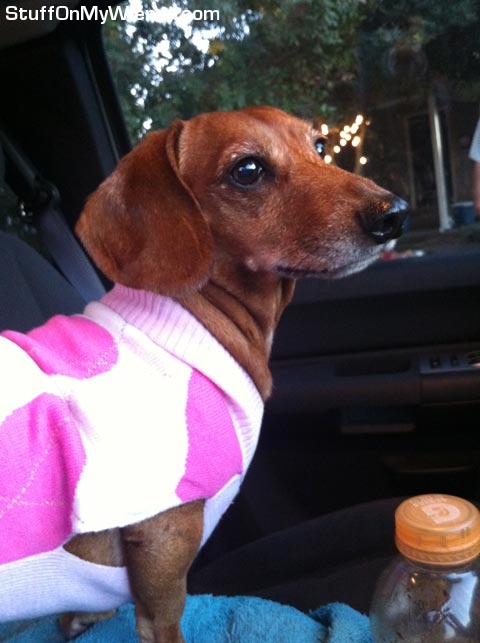 Lexie in pink argyle sweater.