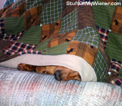 Lily under a blanket with dad.