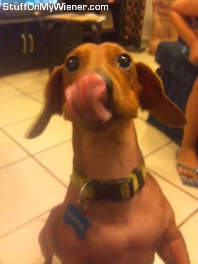 Scooter licking his face.