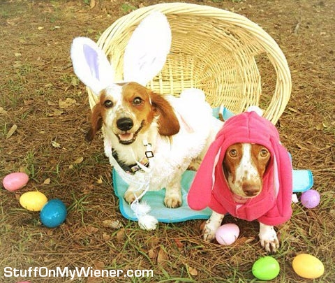 Kody and Lily in an Easter basket.