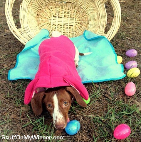 Lily Bug in an Easter basket.