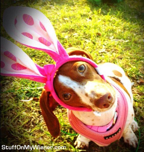 Lily Bug with bunny ears.