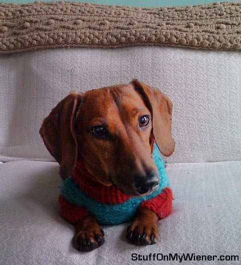 Owen models for his school picture.