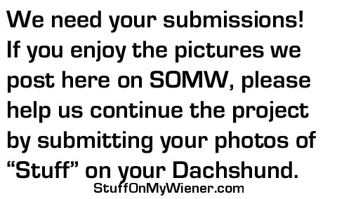 We need your submissions.