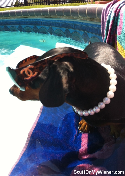 Cher in her Chanel sunglasses in the pool.