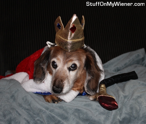 Ollie holding court.