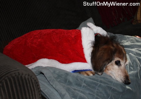 Ollie enough already.