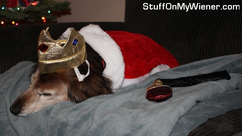 Ollie tired after holding court.