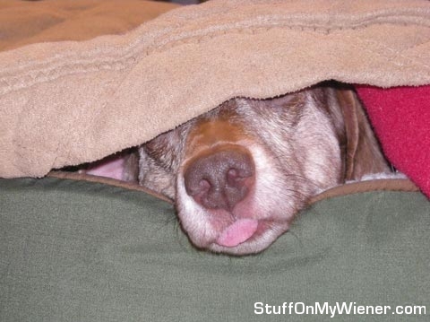 Patty sticking her tongue out.