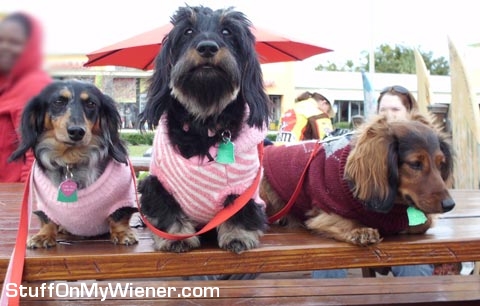 Gabby, Ellie, and Enzo in sweaters.