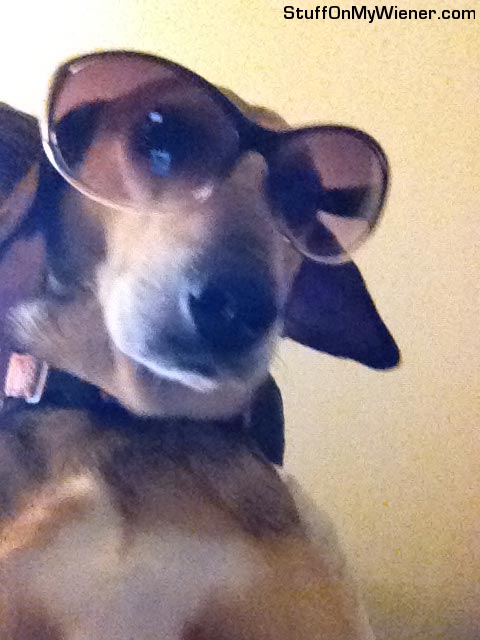 Sophie-glasses Sophie wearing sunglasses.