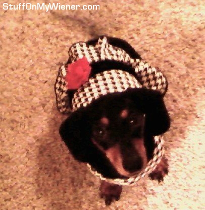 Coco in a hounds tooth dress.