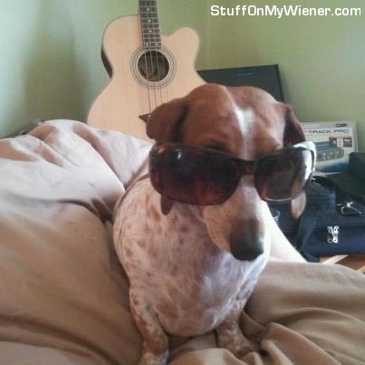 Lilian-glasses Lilian in her sunglasses.