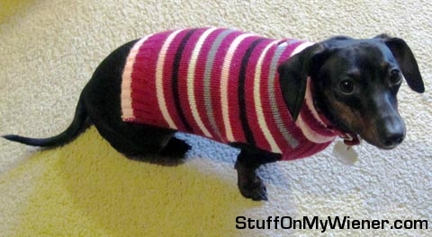 Athena in her pink sweater.