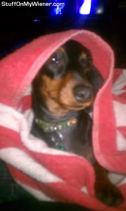 Ilsa in her beach towel.