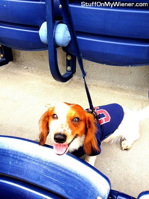 Kody at Turner field enjoying a Braves baseball game.