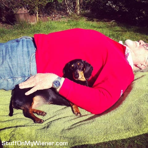 Phoebe sleeping on the lawn.