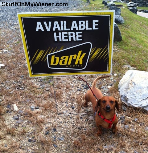 Reno below a Bark Mobile sign.