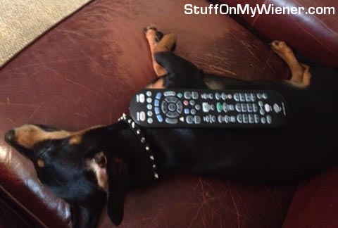 Cankles with the remote on him.