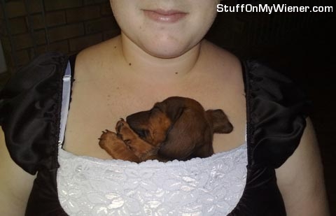 Nala being carried by mom.