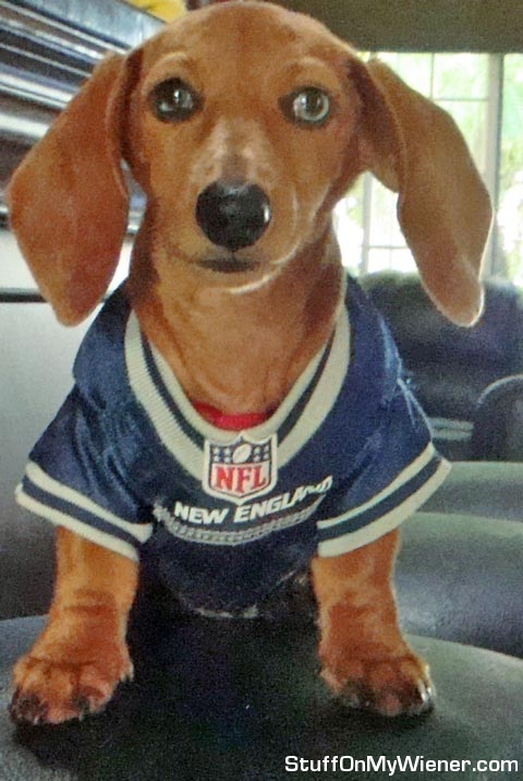 Maxwell in a Patriots jersey.