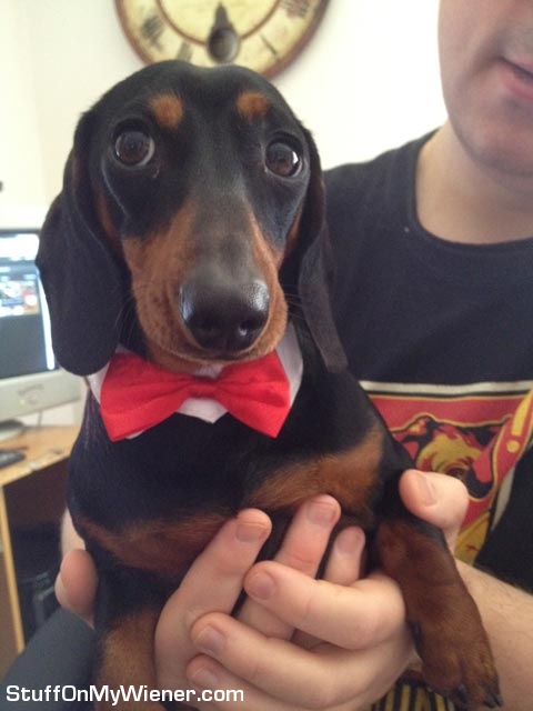 Astrid wearing a bow tie.