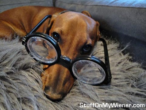 Druss wearing glasses.