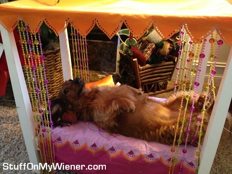 Roxie in an American Girl doll bed.