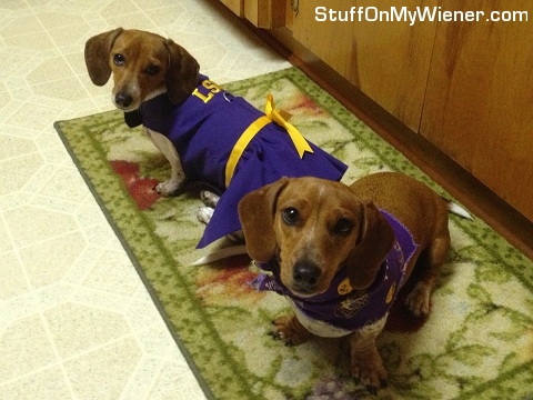 Sadie and Penny dressed as LSU cheerleaders.