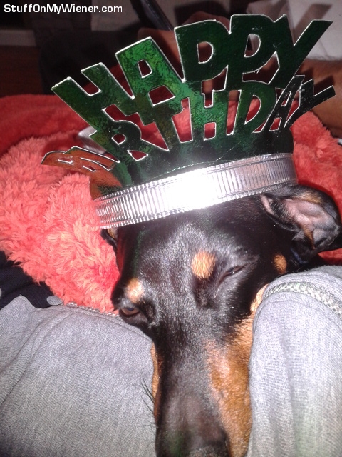 Wyatt with a birthday hat on.