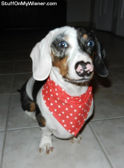 Basso with heart scarf.