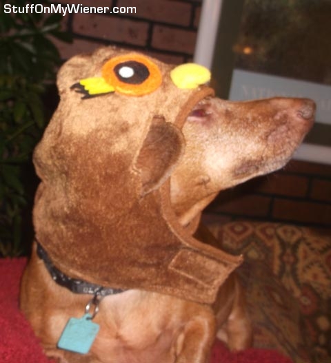 Gimli in an owl costume.