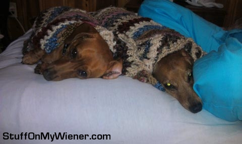 Lexie and Lily sharing a blanket.