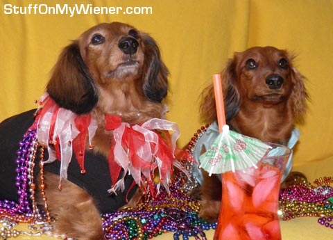 Schatzi and Brandee celebrate Fat Tuesday.