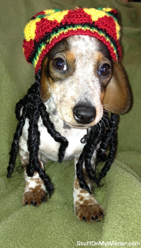 Smuckers with dreadlocks.