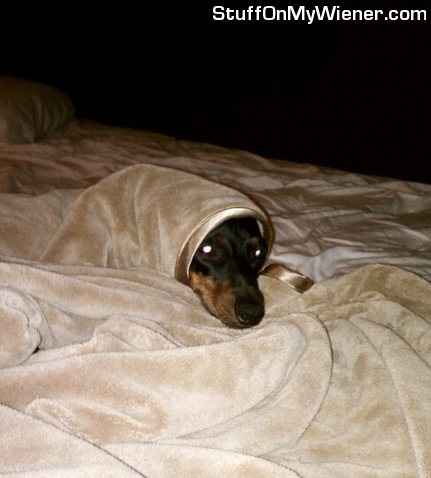 Jake in bed looking like a nun.