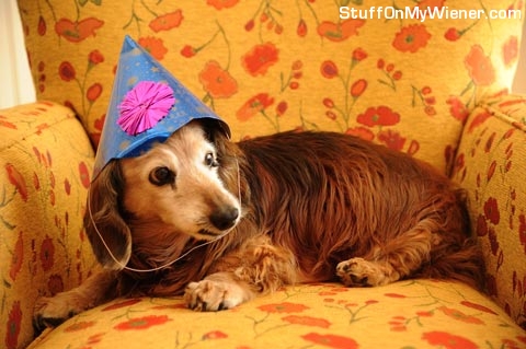 Ollie on his 18th birthday.