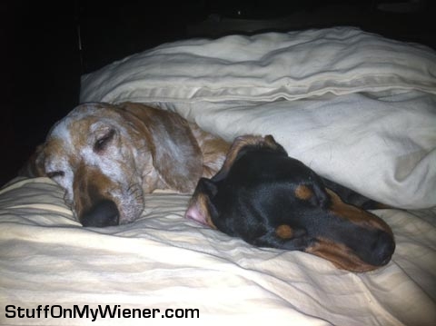 Oskar spooning Baybay.