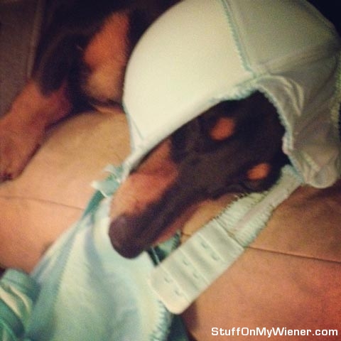 Cankles keeps mama from getting dressed.